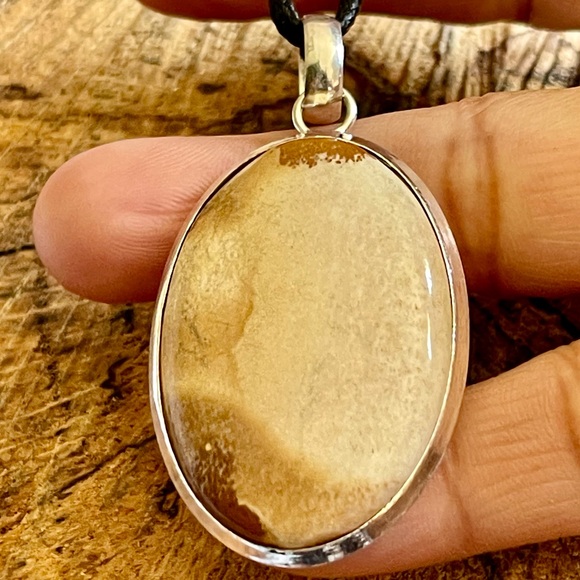 Owyhee Picture Jasper Pendant 2” - Picture 7 of 9